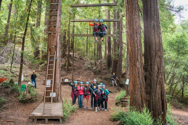 A group of people wearing helmets and harnesses are gathered in a forest, some on a rope course and others posing for a photo on the ground.