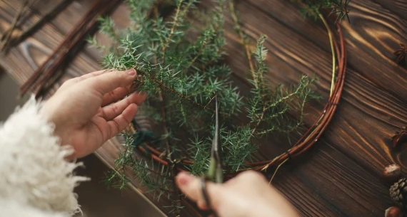 Someone is crafting a wreath with green foliage on a wooden surface, using a pair of scissors to cut the plants.