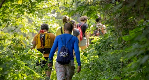 A group of people with backpacks are hiking through a lush, green forest trail.