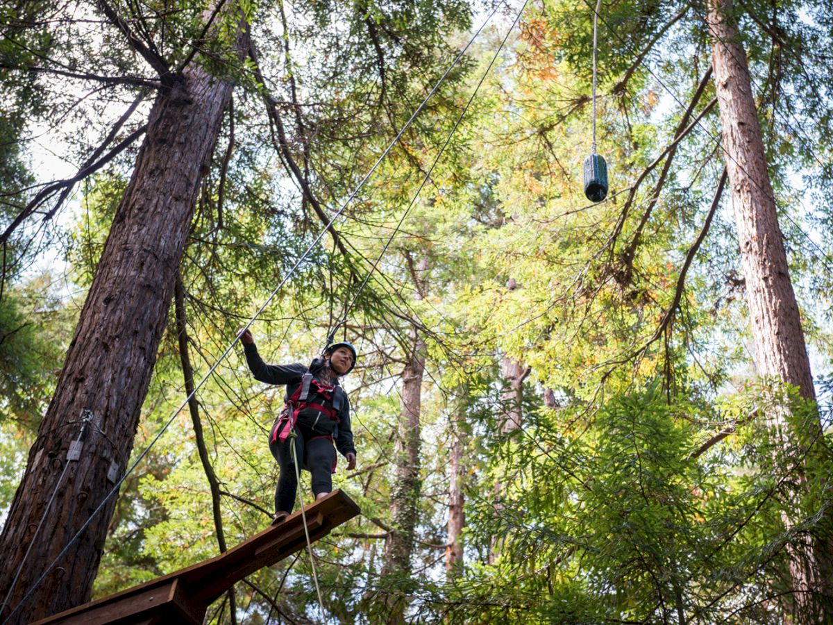 A person in safety gear is standing on a platform amid tall trees, likely preparing for a zip lining activity.