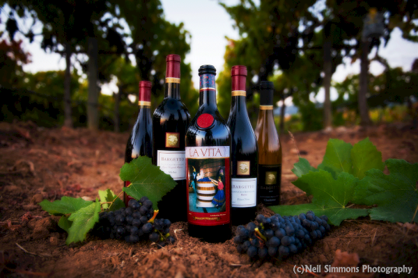 The image shows bottles of wine with grapes and leaves in a vineyard, having the label 