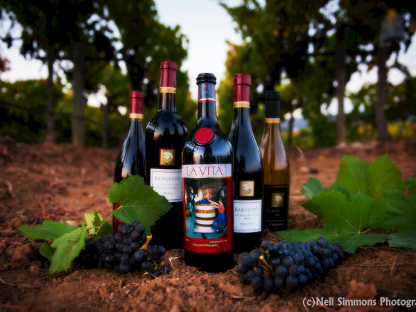 The image shows bottles of wine with grapes and leaves in a vineyard, having the label "LA VITA" on the center bottle.