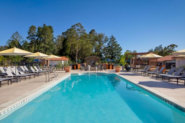 A serene outdoor pool surrounded by lounge chairs and shaded by umbrellas, set amidst a backdrop of trees under a clear blue sky.