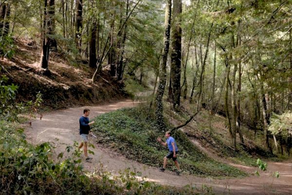 Two people are on a forest trail; one is standing while the other is walking uphill, surrounded by trees and greenery.