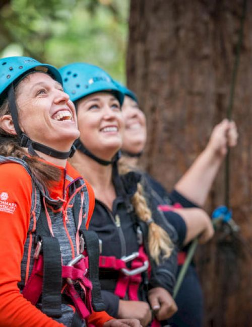 Three individuals wearing safety helmets and harnesses are engaged in an outdoor adventure activity, possibly zip-lining or tree climbing.