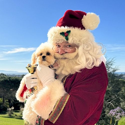 A person dressed as Santa Claus is holding a small, fluffy dog outside in a sunny landscape, creating a festive and cheerful scene.