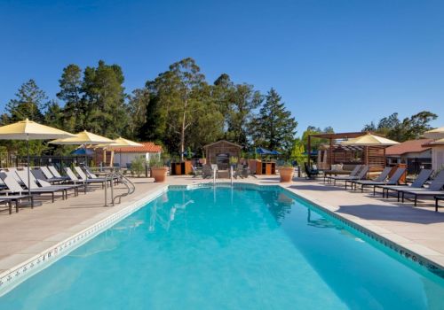 A serene outdoor pool area with lounge chairs, umbrellas, and a clear blue sky, surrounded by lush green trees and wooden structures in the background.