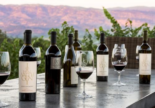 The image shows several wine bottles and glasses filled with red wine on a stone table, with a scenic vineyard and mountain backdrop.