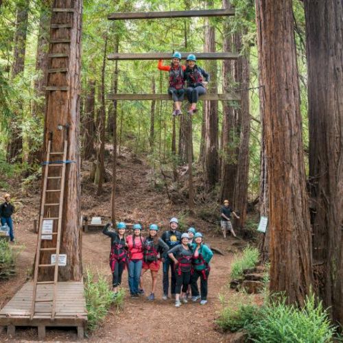 A group of people wearing helmets are at a ropes course in a forest. Some are standing on the ground, while others are climbing or sitting suspended.