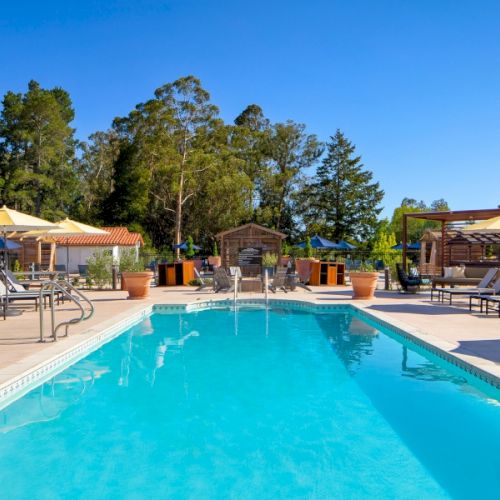 A serene outdoor pool area with lounge chairs, umbrellas, and a backdrop of trees and blue sky. Perfect spot for relaxation and leisure every day.