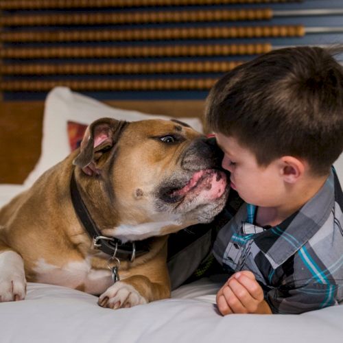 A dog is licking a young boy's face as they sit together on a bed, showcasing a moment of affection.