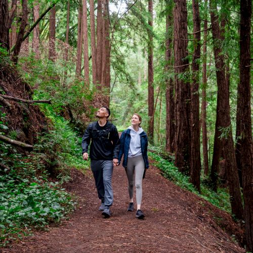 Chaminade Resort & Spa