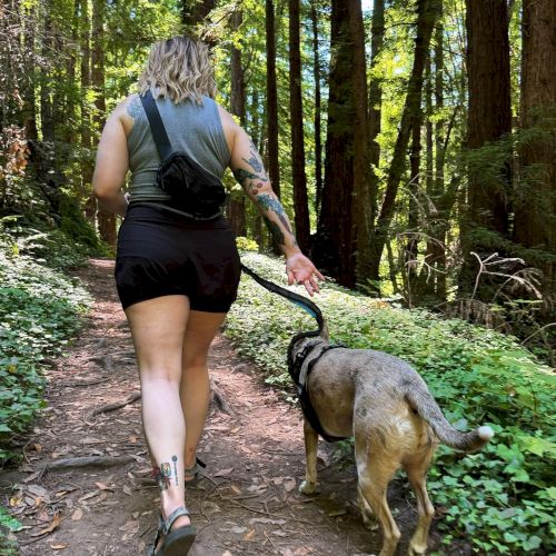 A person with tattoos is walking a dog on a leash along a forest trail, surrounded by tall trees and lush greenery.