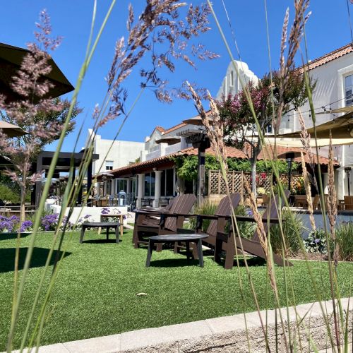 Outdoor setting with chairs on a lawn, surrounded by plants and buildings in the background. The sky is clear and blue.