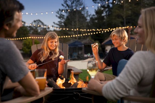 A group of people sit around a fire pit at dusk, toasting marshmallows and enjoying drinks, with string lights in the background.