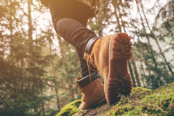 A person in hiking boots walks through a sunlit forest on a mossy path, with trees and greenery surrounding them.