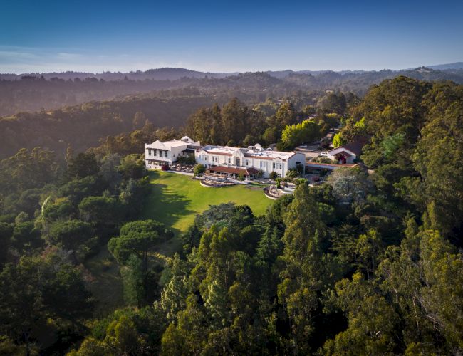 A luxurious estate surrounded by lush greenery, nestled in a forested hillside with stunning views.