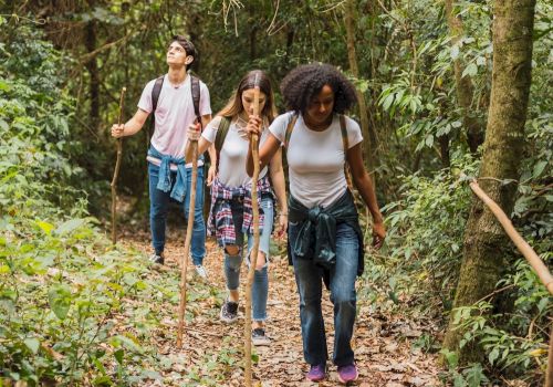 Three people hiking through a forest, all holding walking sticks, surrounded by lush greenery on a dirt path.
