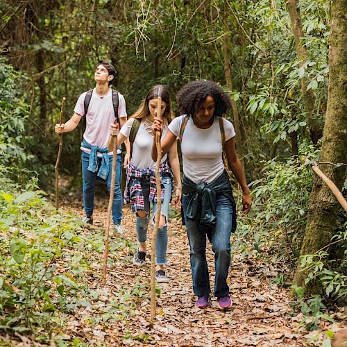 Three people hiking through a forest, all holding walking sticks, surrounded by lush greenery on a dirt path.