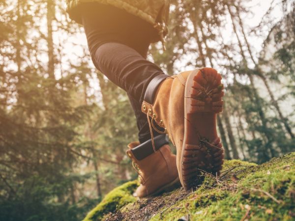 A person in hiking boots walks through a sunlit forest on a mossy path, with trees and greenery surrounding them.