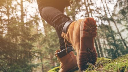 A person in hiking boots walks through a sunlit forest on a mossy path, with trees and greenery surrounding them.