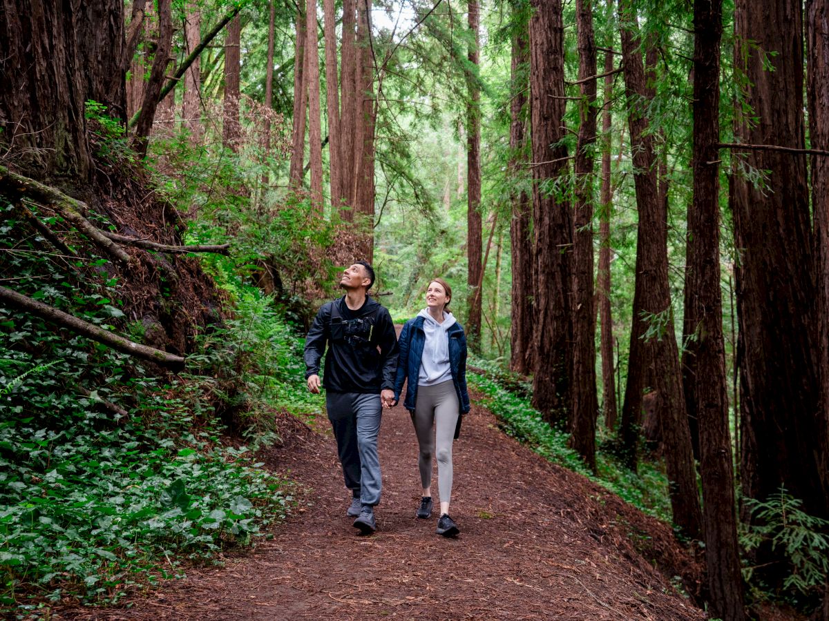 A couple is walking along a forest path, surrounded by tall trees and greenery, enjoying a peaceful hike together.