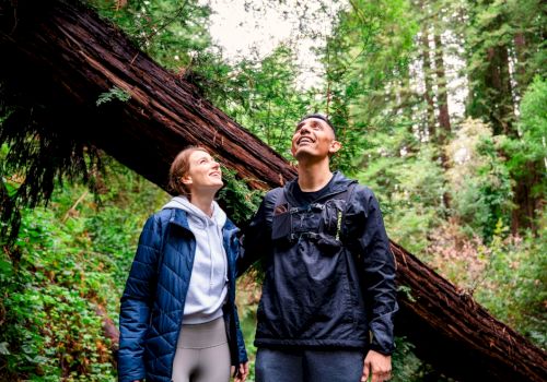 Two people are smiling and looking up, standing under a leaning tree in a lush forest.