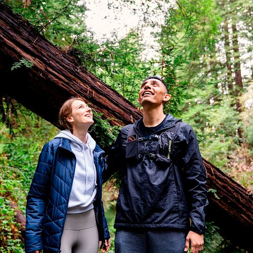 Two people are smiling and looking up, standing under a leaning tree in a lush forest.