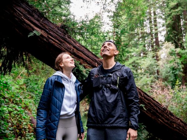 A couple is looking up while standing in a forest. They're surrounded by tall trees and greenery.