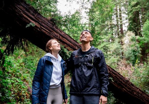 Two people in outdoor clothing stand in a forest, looking up with a fallen tree in the background.
