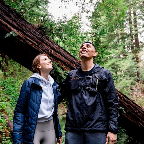 Two people in outdoor clothing stand in a forest, looking up with a fallen tree in the background.