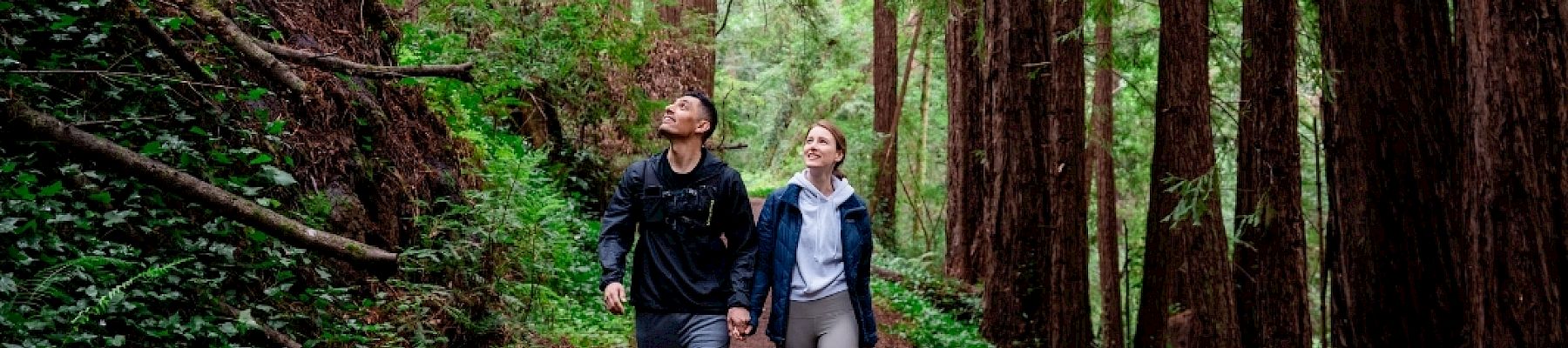 Two people are walking on a forest trail surrounded by tall trees and greenery.