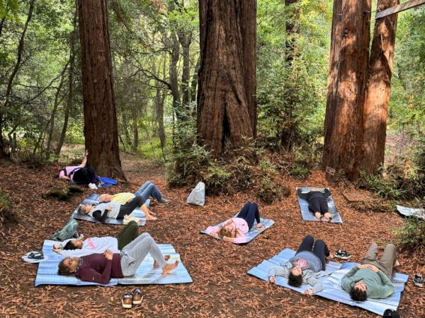 Group of people practicing yoga or meditating on mats spread around a forest clearing, surrounded by tall trees and autumn leaves.