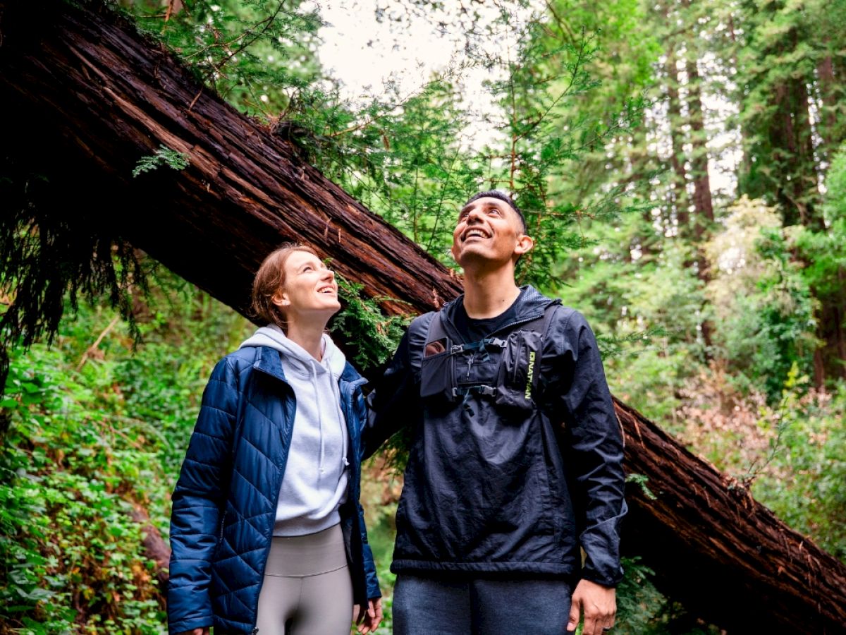 A man and woman stand in a lush forest, smiling and looking up at a fallen tree covered in greenery.
