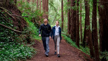 A couple is walking hand in hand on a forest trail surrounded by tall trees and lush greenery in a serene setting.