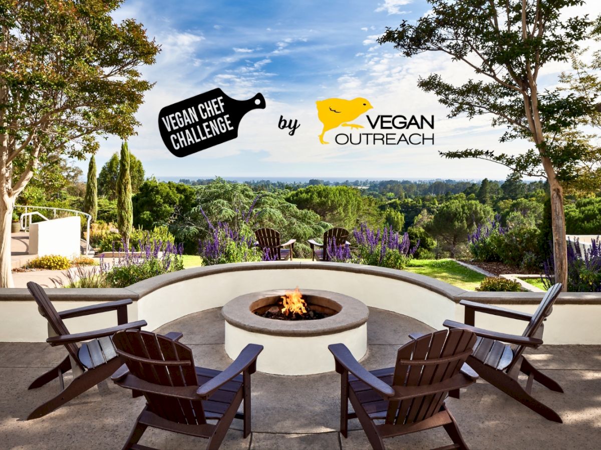 A sunlit outdoor patio with circular fire pit, six wooden chairs, lush gardens, and a scenic valley beyond&mdash;logo suggests vegan chef challenge.